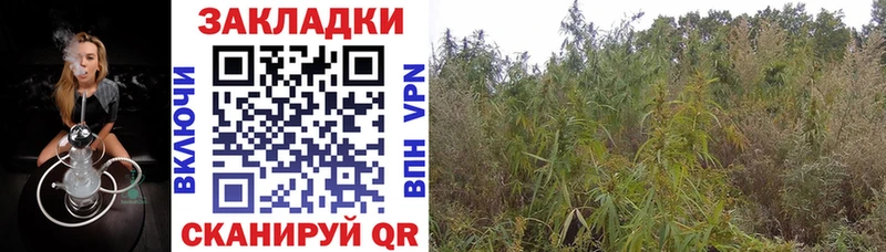 Наркотические вещества Заполярный APVP  Амфетамин  МАРИХУАНА  Меф мяу мяу 