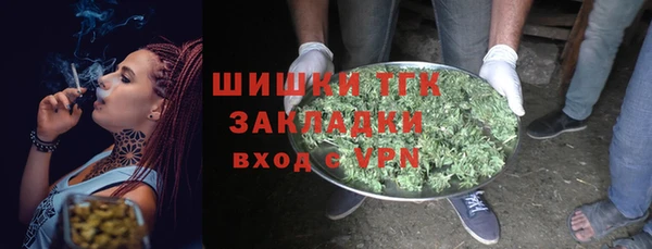 гидра Горно-Алтайск