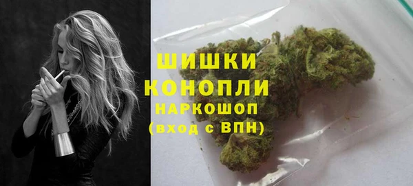 соль ск Инсар