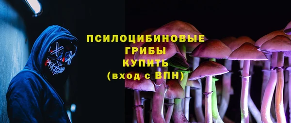 apvp Зеленокумск