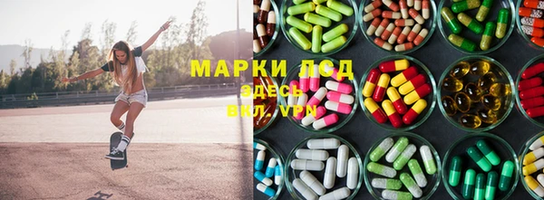 соль ск Инсар