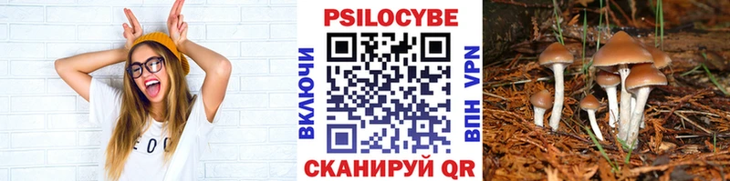 где найти наркотики  Заполярный  Псилоцибиновые грибы мухоморы 